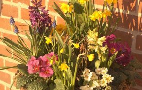 Der Frühling kehrt ein..., Bild 1/3