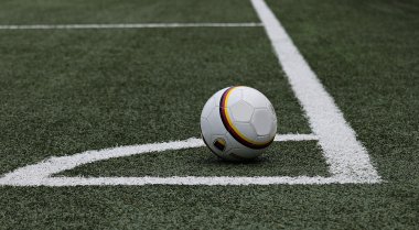 Fußball-EM 2024: Erlebt die EM-Spiele bei uns im Paulinenhof, Bild 1/1