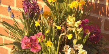 Der Frühling kehrt ein..., Bild 1/3